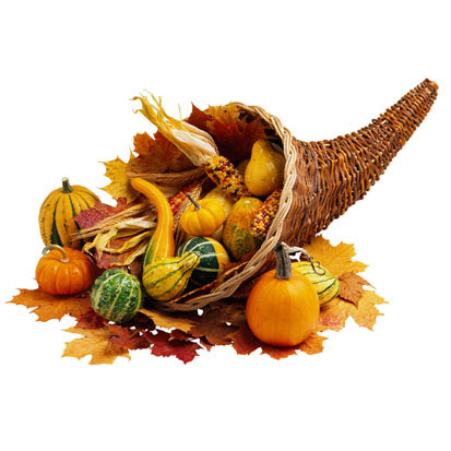 Miss Mary's November Newsletter: Texture Modification & Reducing Cross Contamination