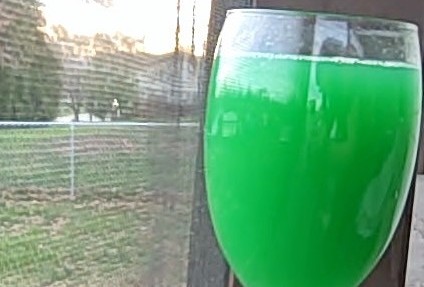 Saint Patricks Day Drink Recipe For The Kids!