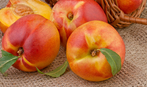 Nectarines