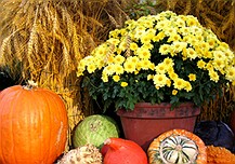KaTom November K-12 School Foodservice Update