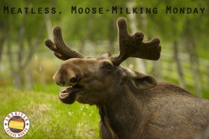 Image of a Moose and Text