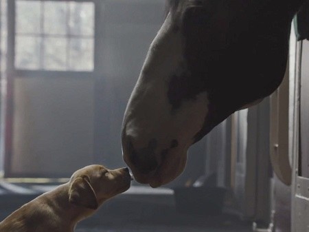 Budweiser Super Bowl Commercial