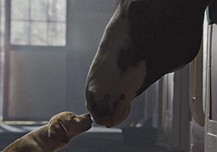 The Best Super Bowl Commercials Related to Food and Drink