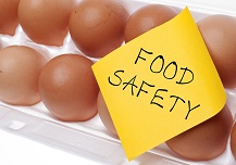 Safe Food Handling Fact Sheet