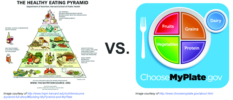 Pyramid vs. MyPlate