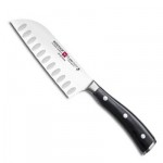 Santoku Knife