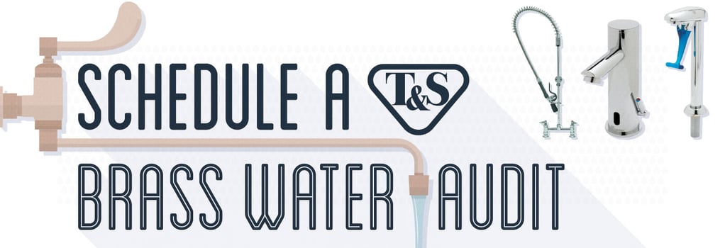 TS Brass Water Audit