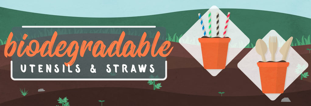 Switching to Biodegradable Utensils & Straws