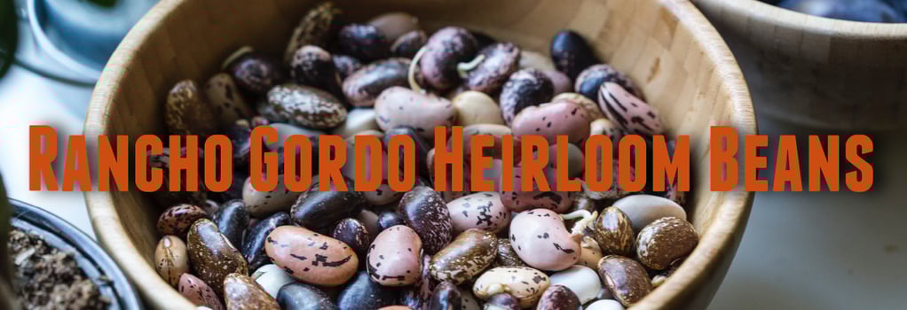 Rancho Gordo's Heirloom Beans