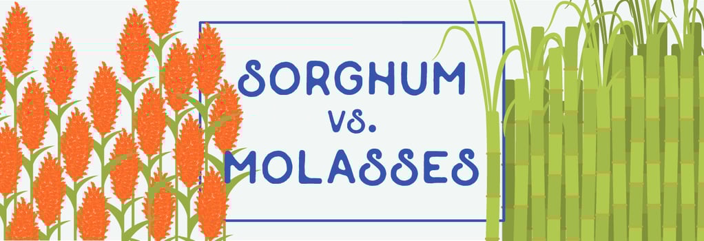 Sorghum vs Molasses