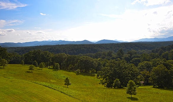 Biltmore