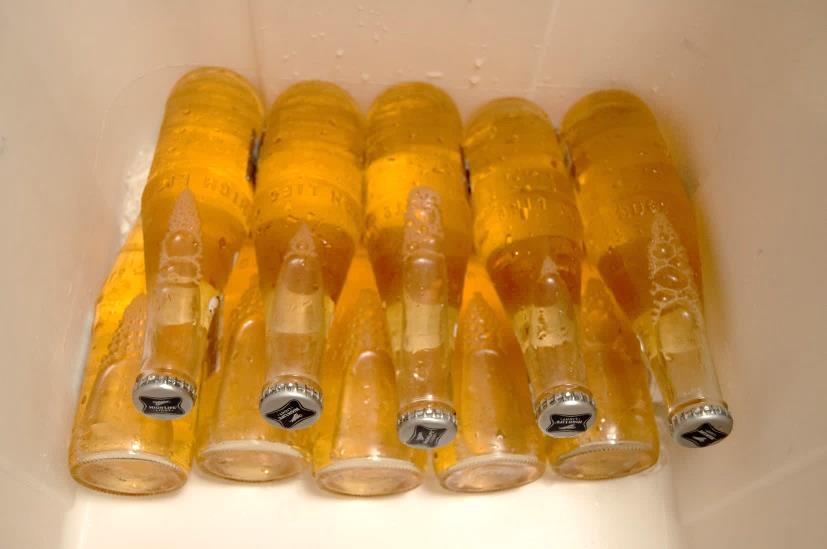 Beer bottles in opposite-facing rows in a cooler