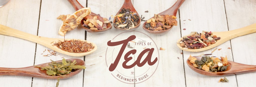 Types of Tea: A Beginner's Guide