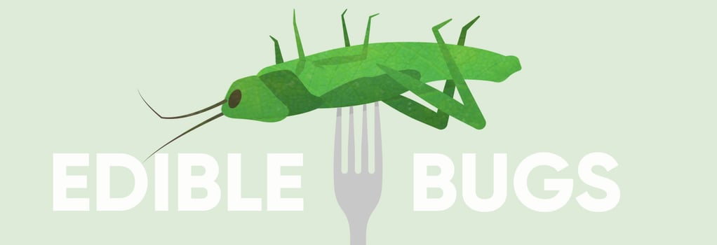From Pest to Protein: The Incredible Edible Bug