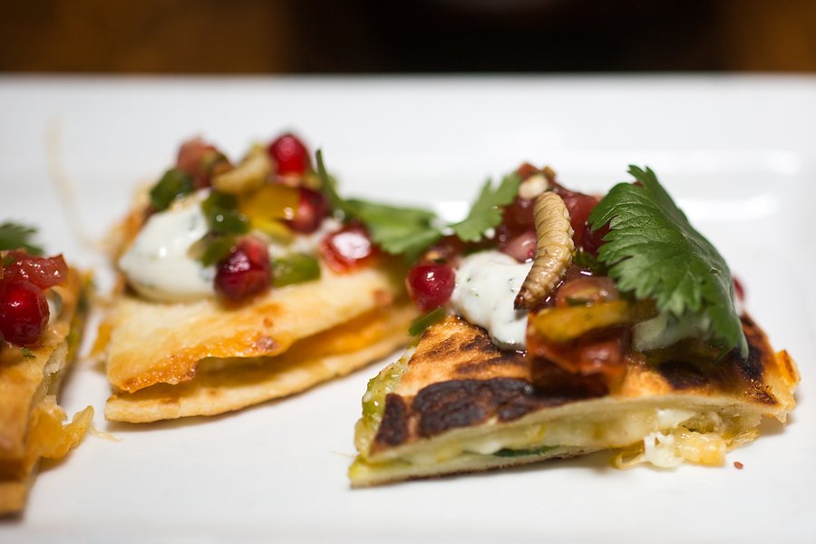 Insects as Food
