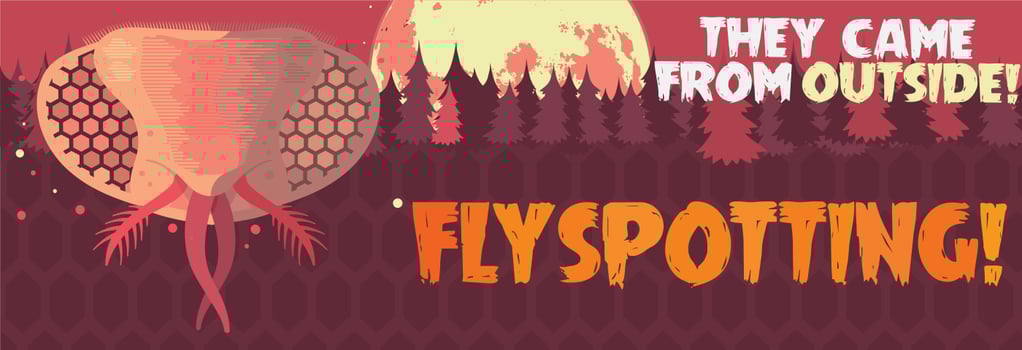 Flyspotting: Flies & Sanitation in Your Restaurant