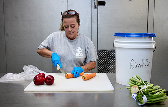 Zoo Knoxville's Jane Brabson prepares produce