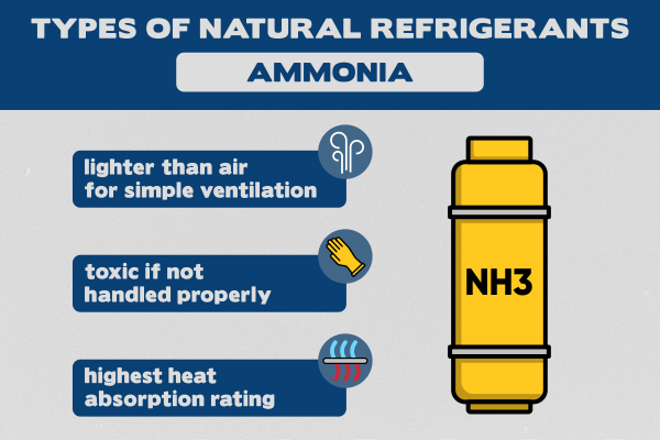 Ammonia Infographic