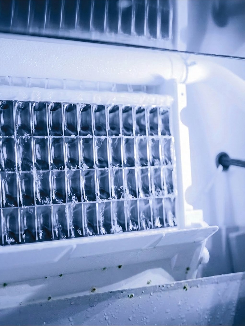 ice maker with mold