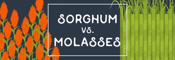 Molasses, Sugar, and the Sweet Truth Icon