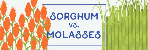 A Deep Dive into Sweet Sorghum Icon