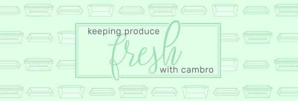 Cambro: How Fresh Are You? Icon