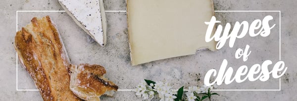 Types of Cheese Icon