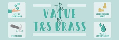 The Value of T&S Brass Icon
