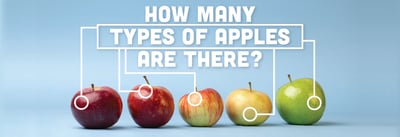 Types of Apples Icon