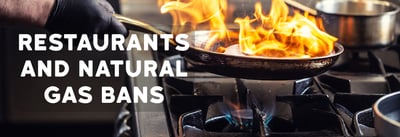 Restaurants & Natural Gas Bans Icon