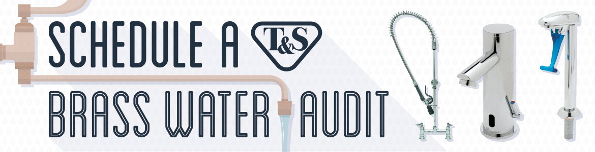 Water Audits: T&S Brass